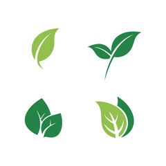 Green leaf logo vector template element symbol design

