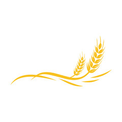 Wheat Logo Template vector symbol nature
