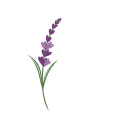Naklejka premium Lavender Logo Template vector symbol nature 
