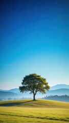 Fototapeta premium A solitary tree stands alone in a serene landscape with soft blue hues and gentle hills