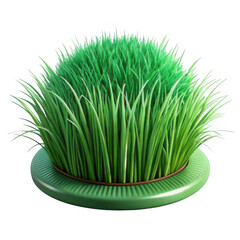 3d lush green wheatgrass sprout in a modern planter transparent background