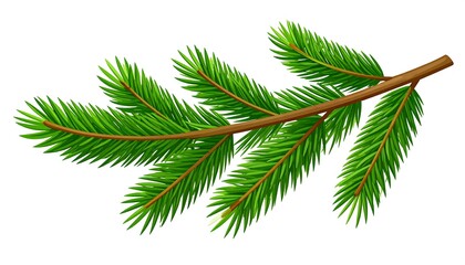 Lush green evergreen branch with needles and a brown stem, isolated on a white background