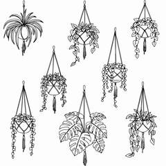 Collection of line art hanging plants in macrame planters, featuring diverse indoor foliage like spider plant, pothos, monstera, and string of pearls.