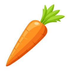 carrot vector illustration