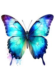 Obraz premium Blue Butterfly Watercolor Painting, White Background