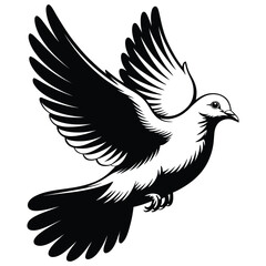 dove of peace