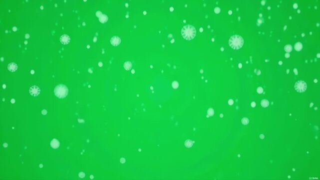 Falling snow animation with green screen background for compositing