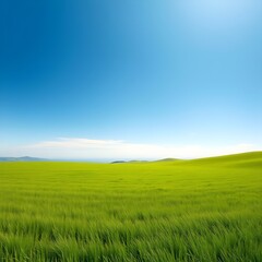 Fototapeta premium blissful green meadow stretching under a cloudless vibrant blue sky