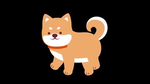 shiba dog walking animation on transparent background with alpha channel