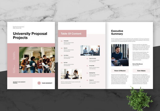Pink And Black University Proposal