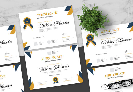 Brown And Blue Certificate