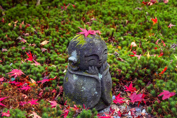 Obraz premium Scenic view of Enko-ji Temple with beautiful foliage in autumn in Kyoto, Japan