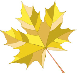 Autumn colored gold-yellow maple leaf isolated on white background. Flat and line style vector illustration.