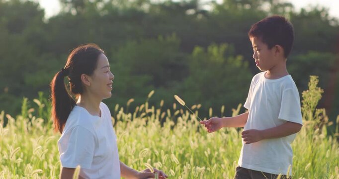 Chinese mother and son playing with foxtail grass outdoors