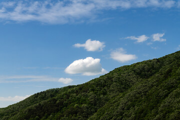 white clouds on the green hill