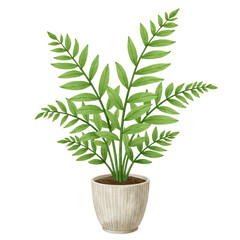 Fototapeta premium Detailed flat botanical illustration of a fern plant in ceramic pot isolated on white background no shadow