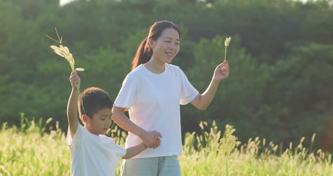 Chinese mother and son playing with foxtail grass outdoors