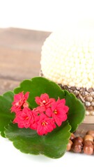 Floral arrangement on wooden surface
