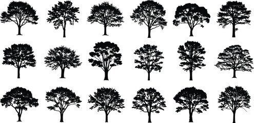 Twenty different tree silhouettes in grid layout, vector illustration for nature, forest, landscape, outdoor, and botanical design concept themes