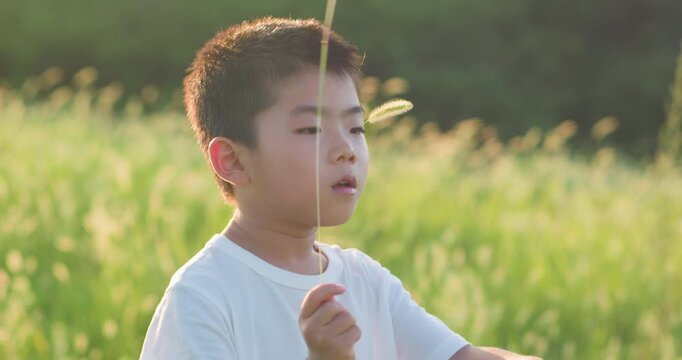 Chinese mother and son playing with foxtail grass outdoors
