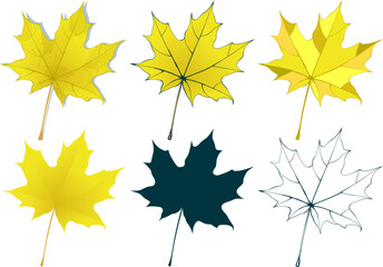 Set of hand-drawn yellow-gold autumn colored maple leaves isolated on white background. Flat and line styles vector illustration.