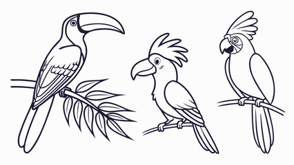 Obraz premium vector illustration of two birds