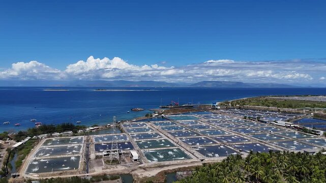 Aerial drone view of a large, modern industrial aquaculture shrimp farm with a geometric grid of ponds on a tropical coast in Indonesia