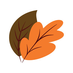 leaf autumn hand drawn doodle illustration
