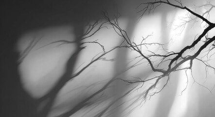 Monochromatic photo of bare branches casting shadows on a wall