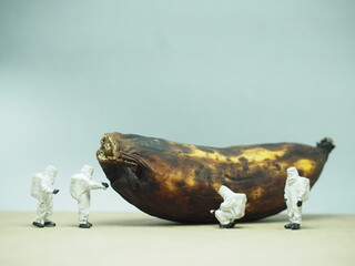 Mini toy of action figure at outdoor with blurred background. Miniature photography concept design. Minifigure of scientist crew character wearing hazmat suit with black banana.