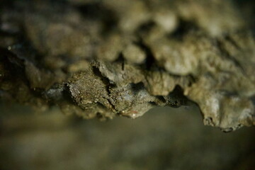 Macro detail of mineral texture in Hallim Park cave