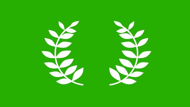 Laurel wreath animated. 4K animation on green screen background. Award winner