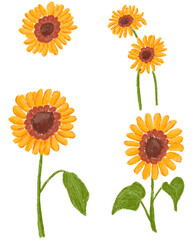 Sunflower Oil painting hand drawn illustration set. Suitable for design, sticker, wedding, nails art, nursery, birthday, etc.