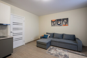well-lit room features a gray sofa under art, a wooden floor with a rug, a modern door, and a kitchen counter on the side