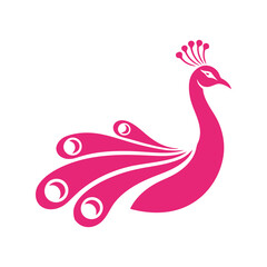 Elegant pink peacock silhouette vector illustration bird art nature icon isolated graphic