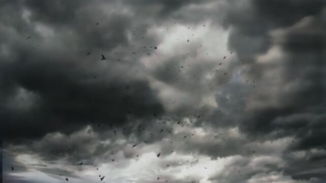 Halloween scary scene with clouds in the sky 