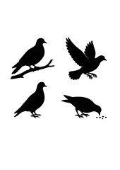 Pigeon Silhouette.ai