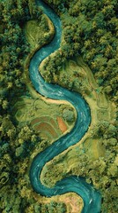 Winding river through lush green forests