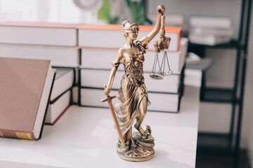 Lawyer explained to the client about the law that must be brought against the court case.