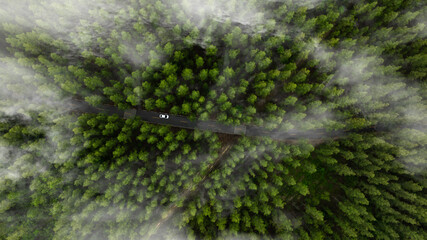 Aerial view of dark green forest road and white electric car Natural landscape and elevated roads Adventure travel and transportation and environmental protection concept	
