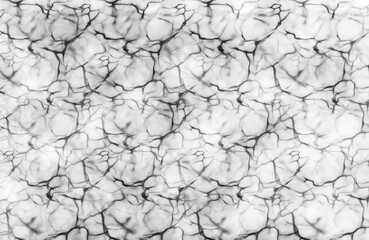 Black and White Web, Marble, Vein Abstract Texture on Transparent Background