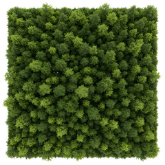 Naklejka premium Aerial View of Green Forest Trees and Foliage a Nature Photo Background