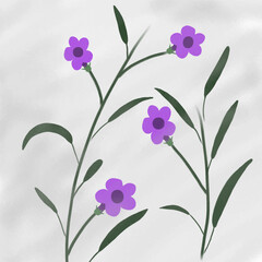 animations of Ruellia simplex purple with long leaves, stems and texture