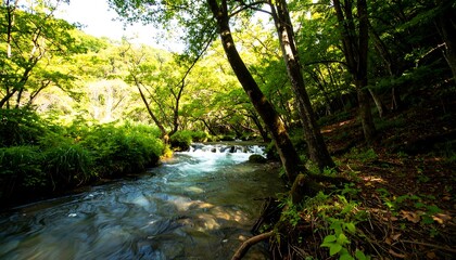 Obraz premium A tranquil stream flows through a lush forest, dappled sunlight filtering through the verdant canopy.