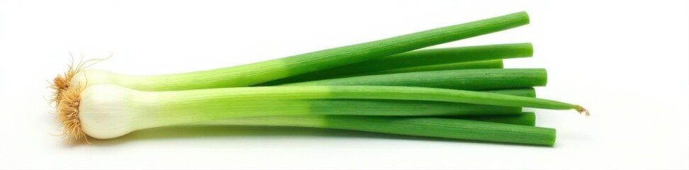 Bright bunch of green onions, pristine white backdrop Clean, healthy look , garnish, culinary, green