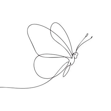 recommend clip art: Continuous line of a butterfly .Single one line art of wild butterfly , One continuous line illustration of an butterfly isolated on white background.