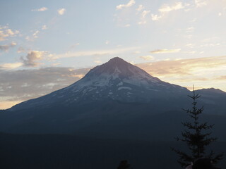 Naklejka premium Mt. Hood at Sunset