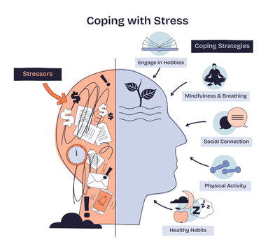 Coping with stress is shown by a split head with stressors on one side and coping strategies like mindfulness, social connection, and healthy habits on the other, transparent background.