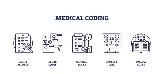 Medical coding icons show verifying records, storing codes, and protecting data, illustrating essential coding processes, transparent background. Outline icons set