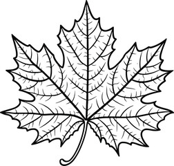 Detailed Leaf Hand Drawn Vector Illustration – Botanical Line Art of a Single Leaf